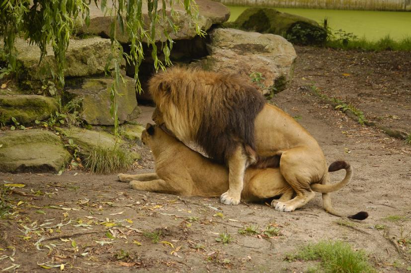 2009_08_09_118_Zoo