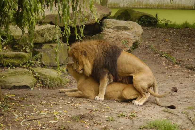 2009_08_09_120_Zoo