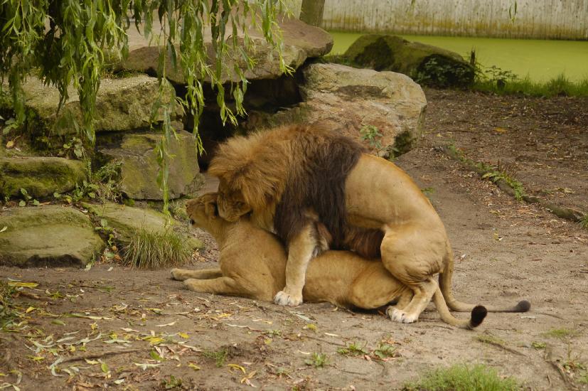 2009_08_09_121_Zoo