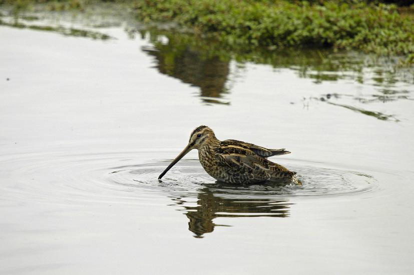 2009_08_30_172_RieselfelderII