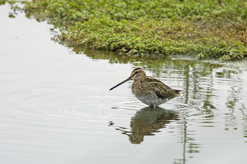 2009_08_30_594_RieselfelderI