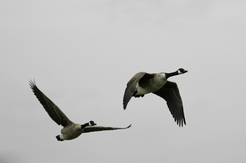 2009_09_10_258_Kurzarbeit