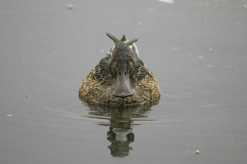 2009_09_10_303_Kurzarbeit