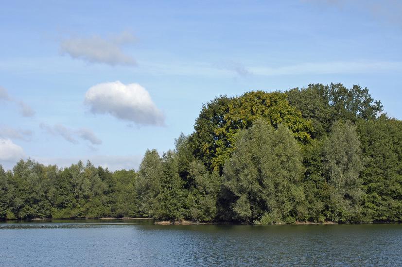 2009_09_12_219_Bruch