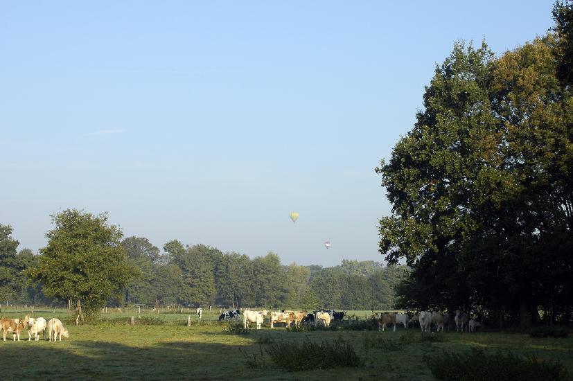 2009_09_27_1_Rieselfelder