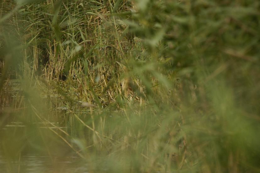 2009_09_28_188_Rieselfelder