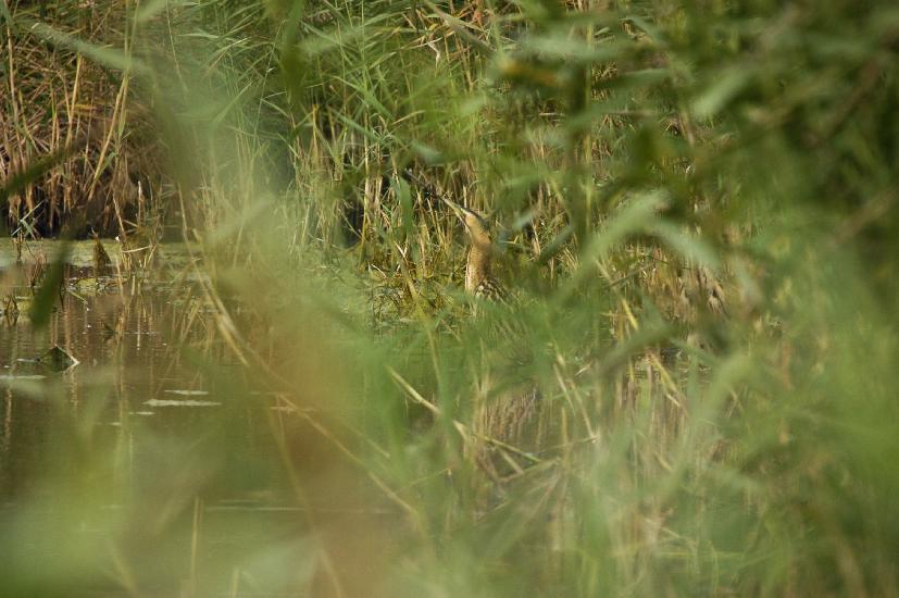 2009_09_28_203_Rieselfelder