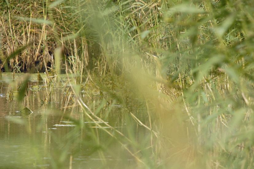 2009_09_28_217_Rieselfelder