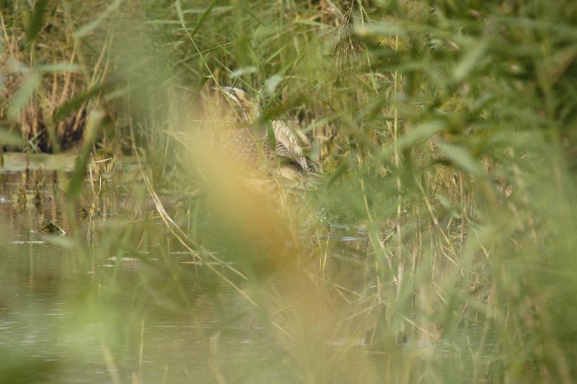 2009_09_28_222_Rieselfelder