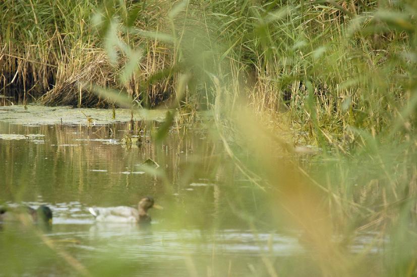 2009_09_28_228_Rieselfelder