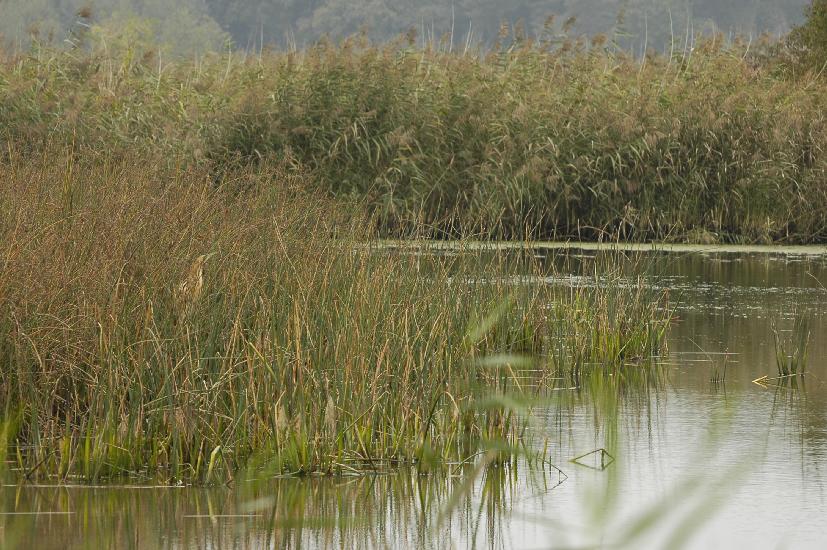 2009_09_28_287_Rieselfelder