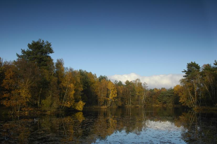 2009_10_30_26_SenneI