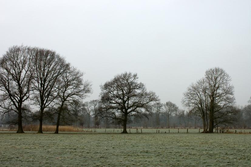 2010 01 23_Bruch_0001