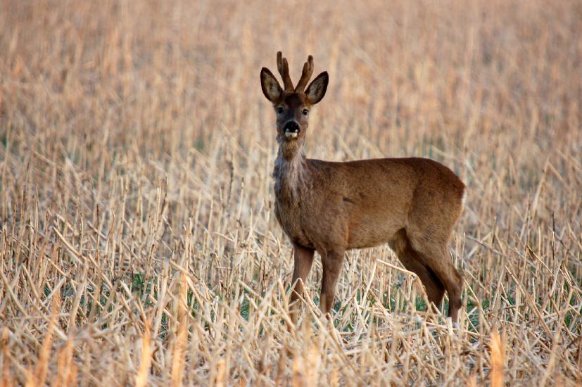 2010 04 02_Bruch_0125