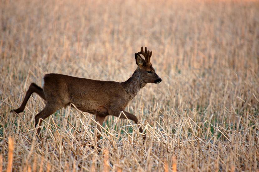 2010 04 02_Bruch_0127