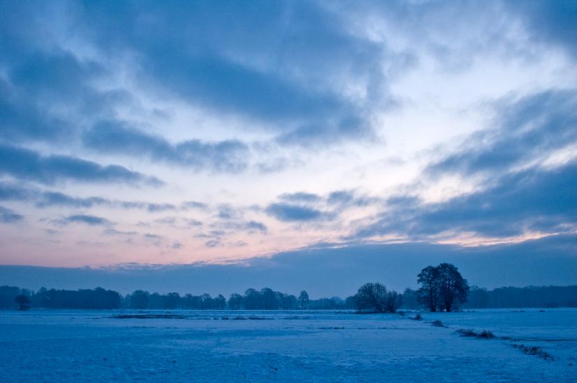 2010_01_08_Bruch (2)