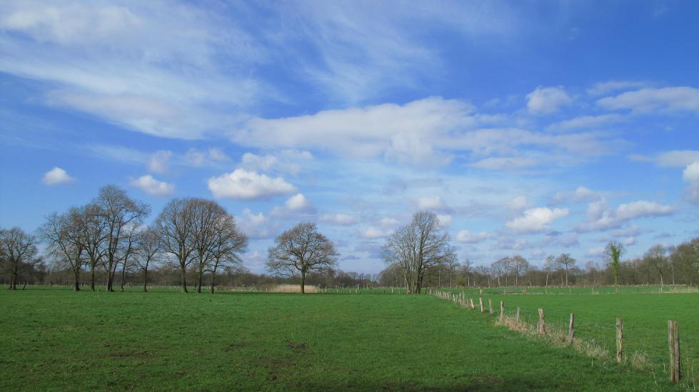 2010_04_03_103_DiverseG10