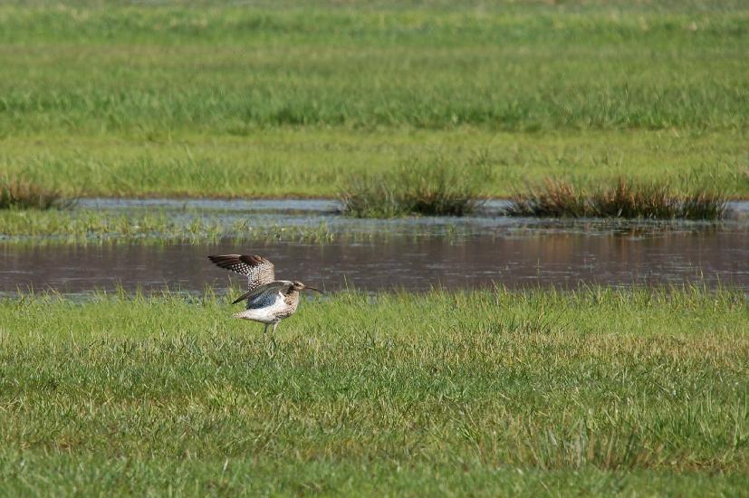 2010_04_06_160_Bruch