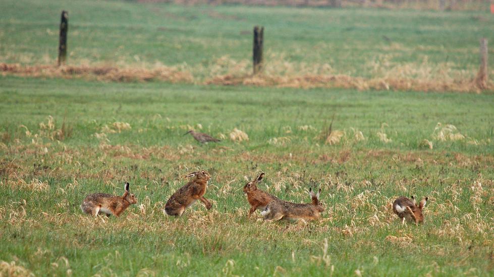 2010_04_09_116_Bruch