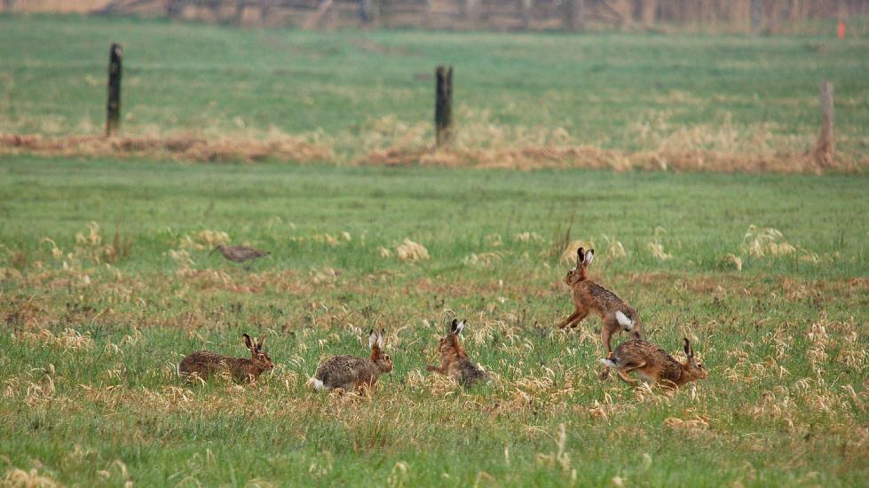 2010_04_09_127_Bruch