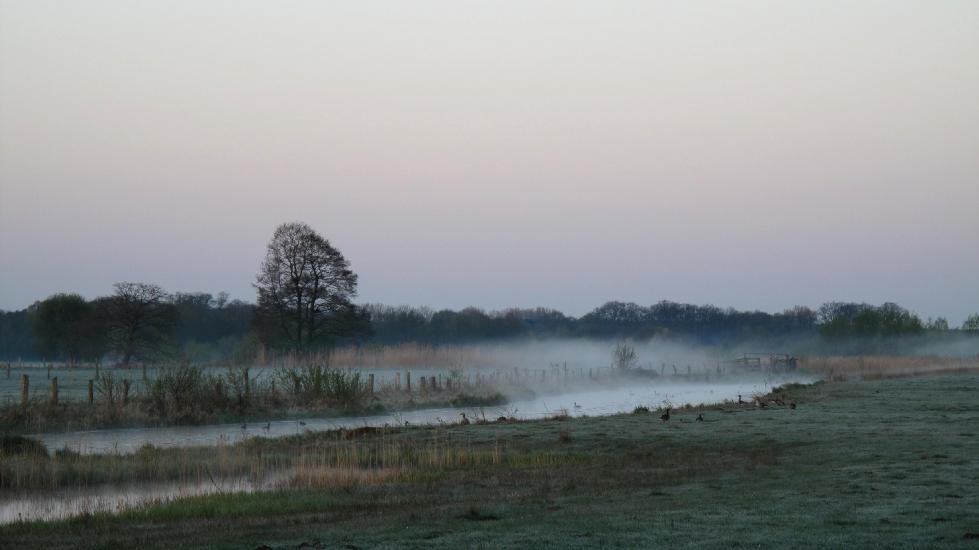 2010_04_24_21_DiverseG10