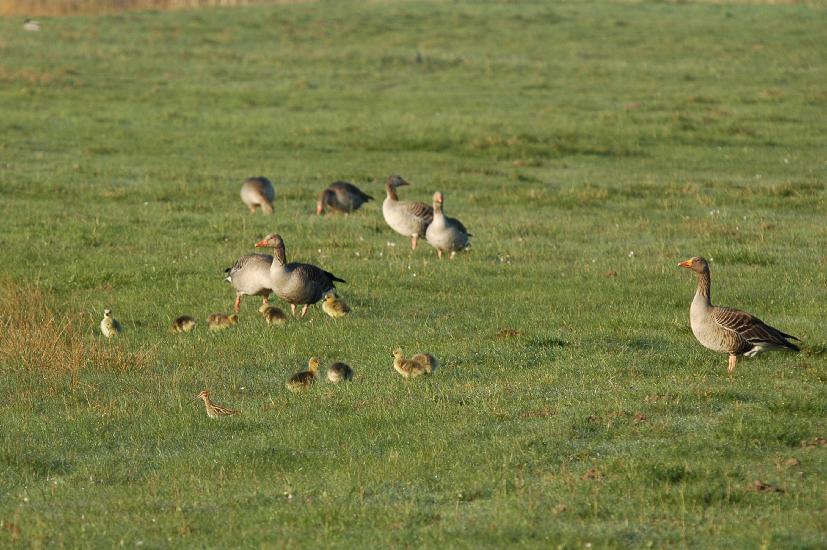 2010_04_24_334_Bruch