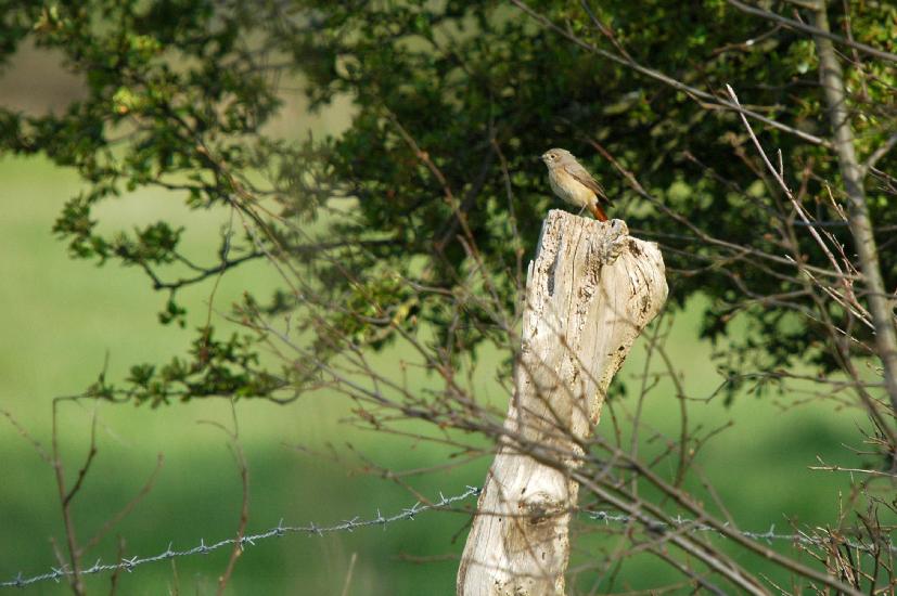 2010_04_24_458_Bruch