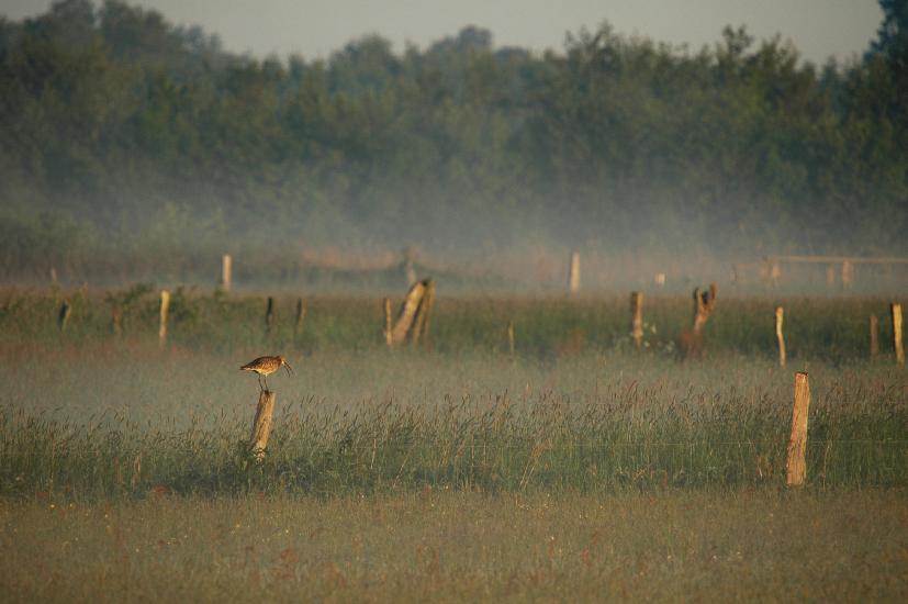 2010_05_29_213_Bruch