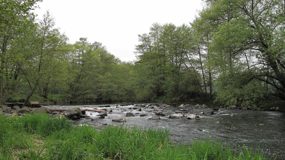 2010_05_Wiskerhof (98)