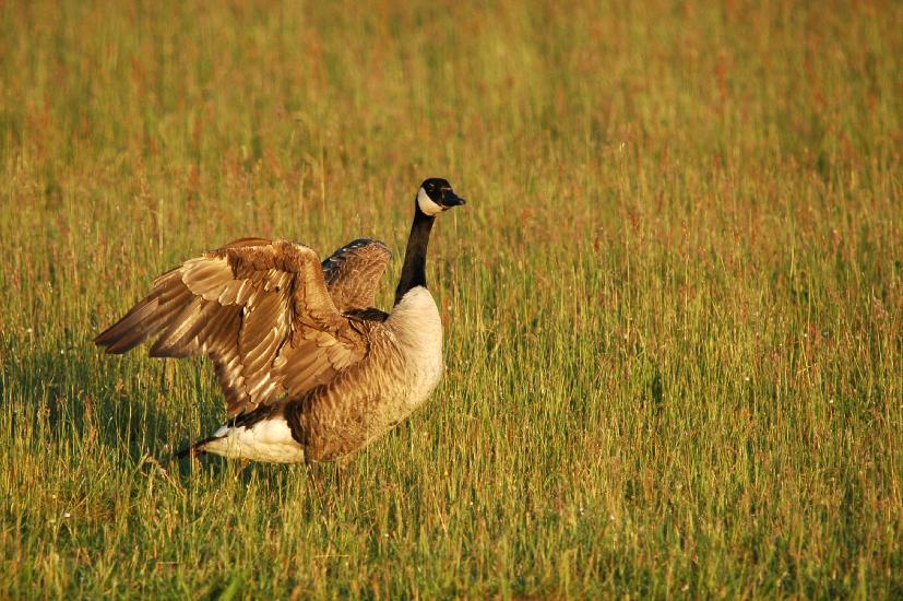 2010_06_03_300_Bruch