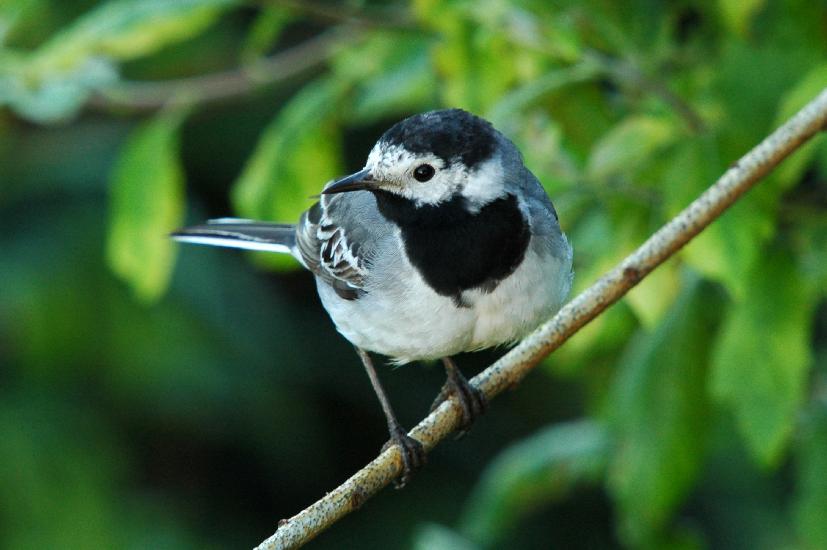 2010_06_13_156_Bruch