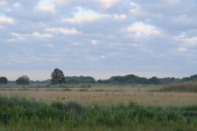 2010_06_26_335_Bruch