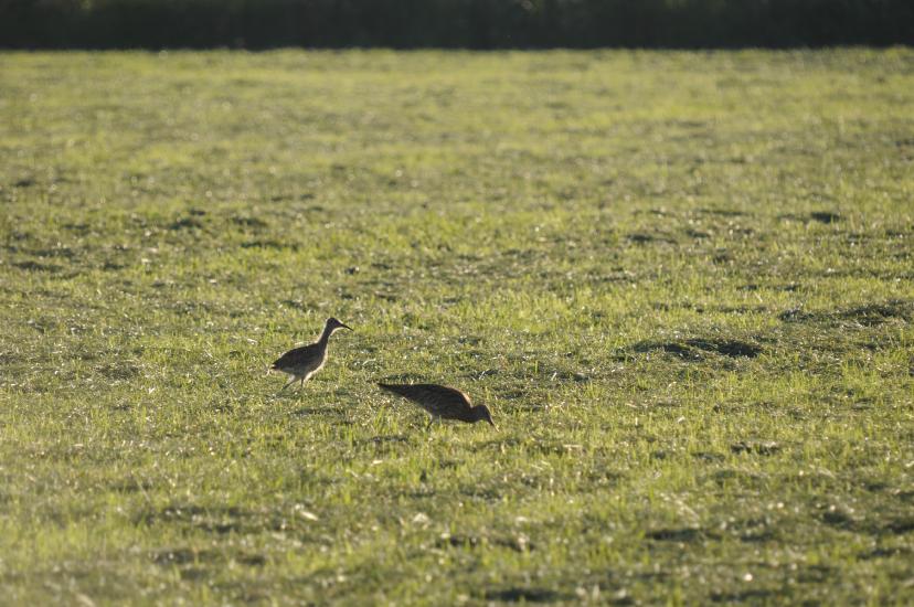 2010_06_27_293_Bruch