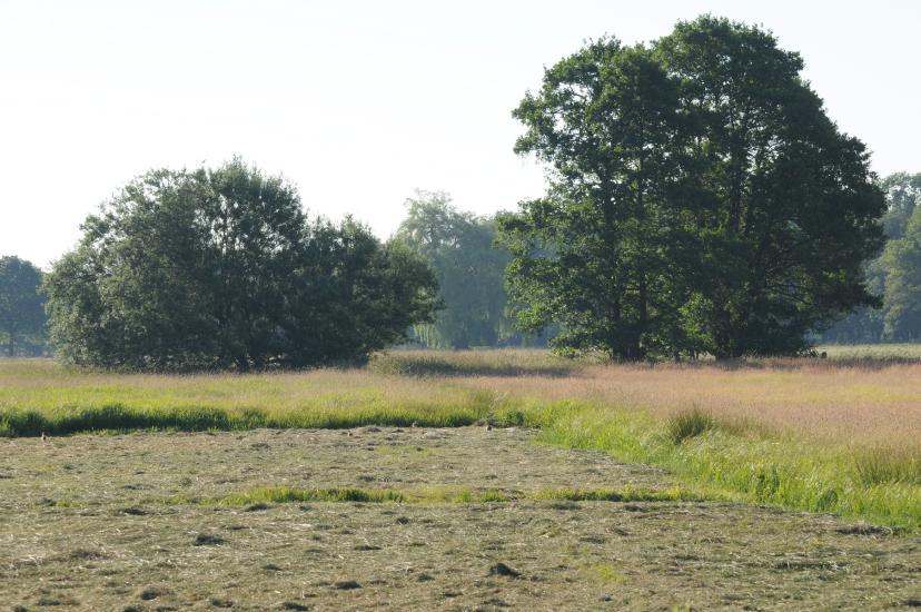 2010_06_27_516_Bruch