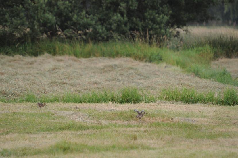 2010_06_29_269_Bruch