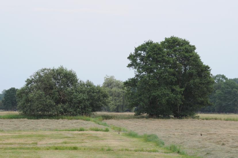 2010_06_29_279_Bruch