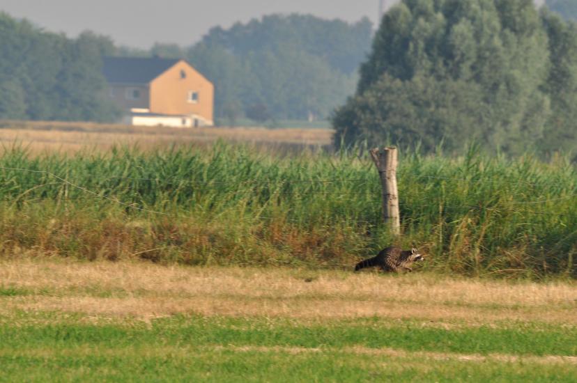 2010_07_10_521_Bruch