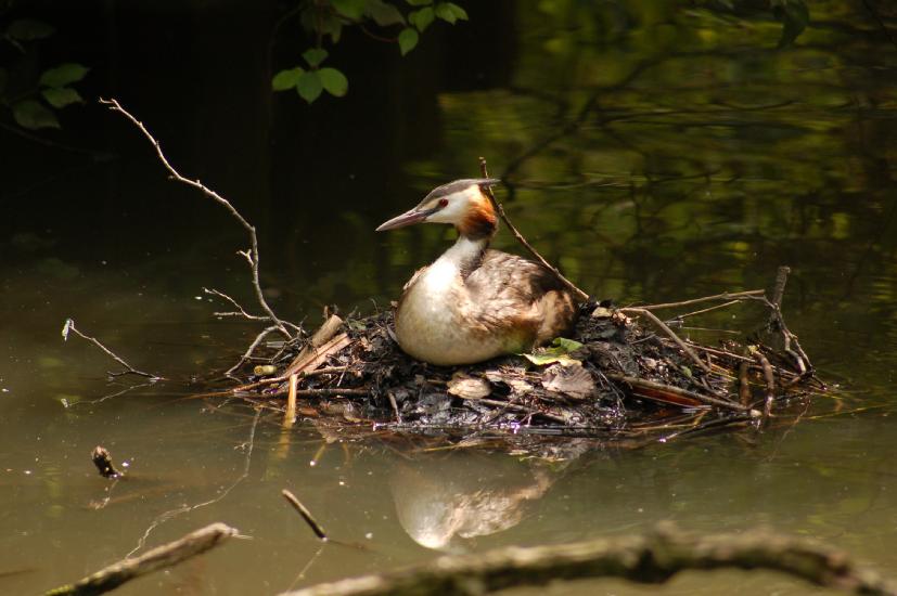 2010_07_25_197_Diverse