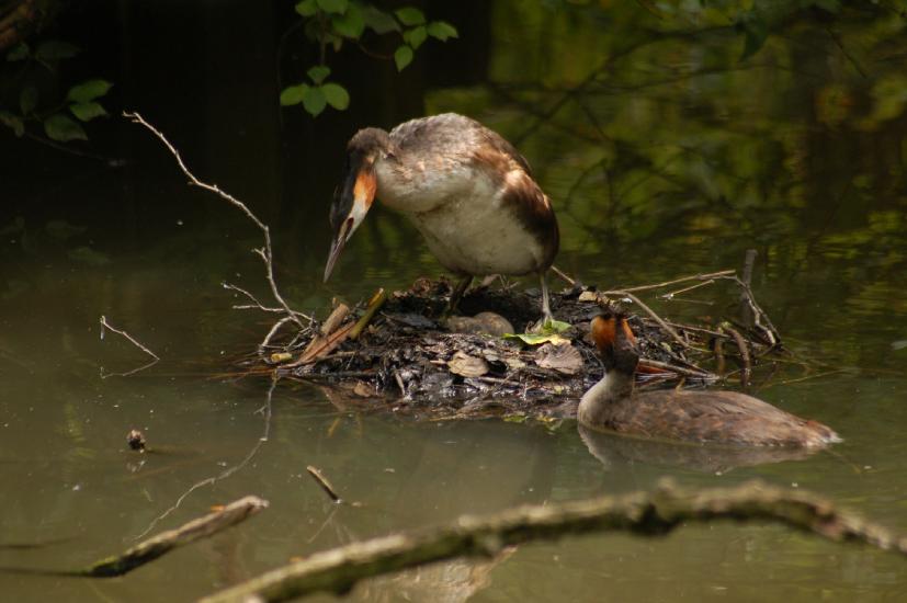 2010_07_25_238_Diverse