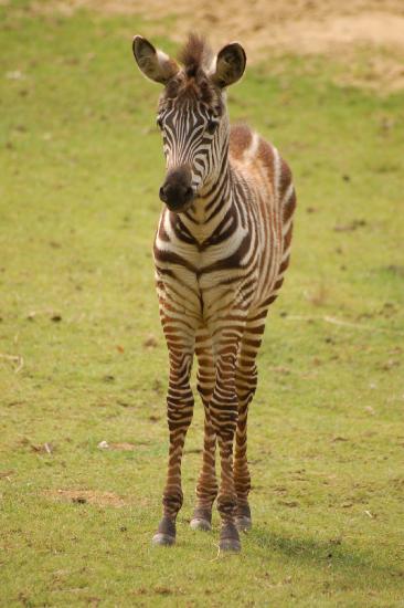 2010_07_25_280_Diverse