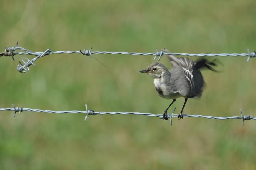 2010_07_30_145_Urlaub