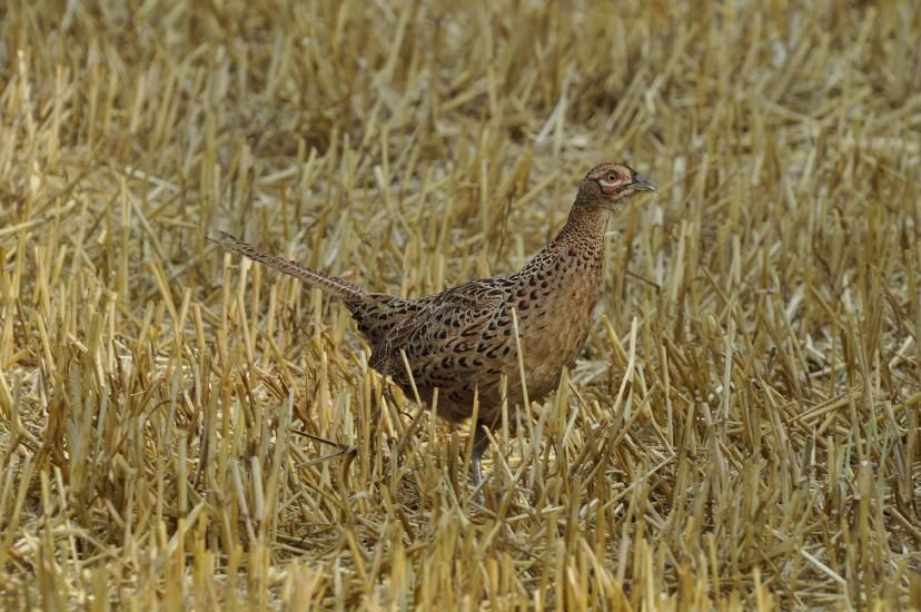 2010_07_30_189_Urlaub