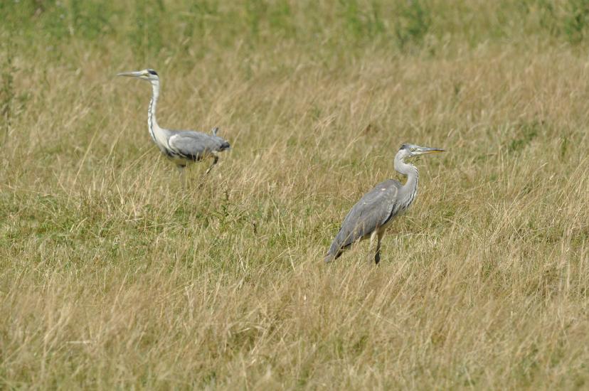 2010_07_30_56_Urlaub