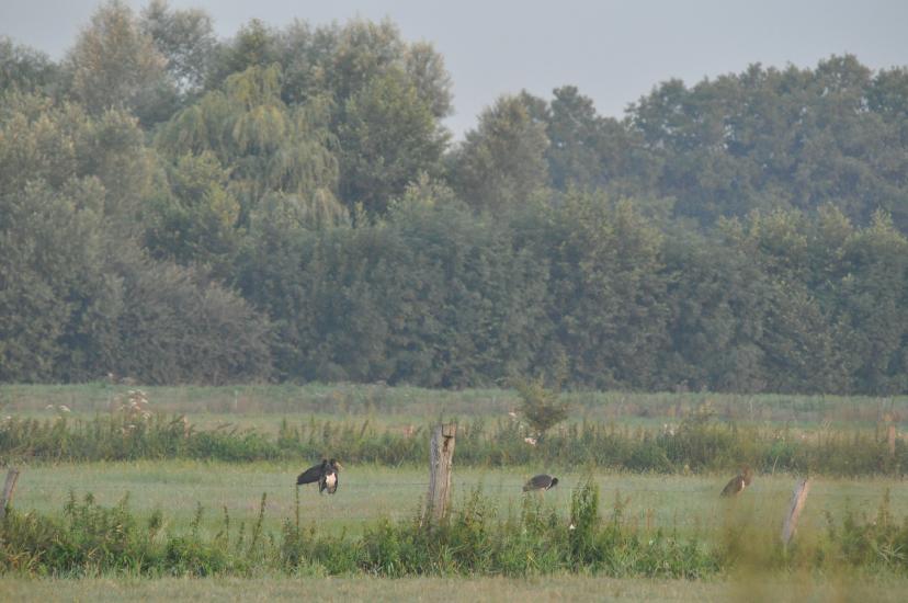 2010_07_31_126_Urlaub