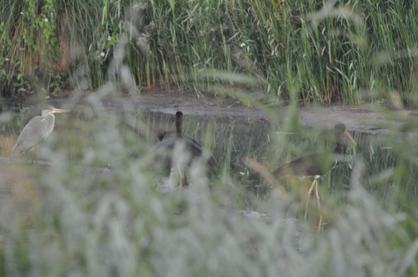 2010_07_31_132_Urlaub