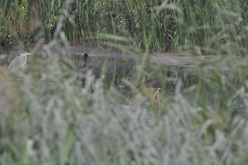 2010_07_31_133_Urlaub