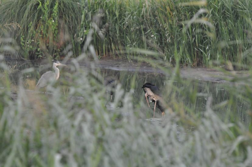 2010_07_31_135_Urlaub