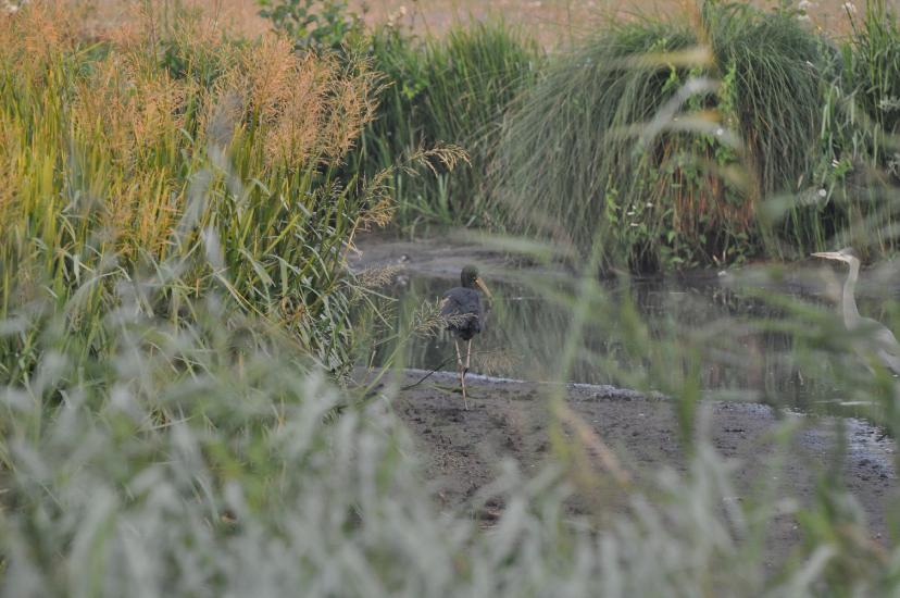 2010_07_31_137_Urlaub