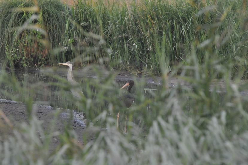 2010_07_31_142_Urlaub