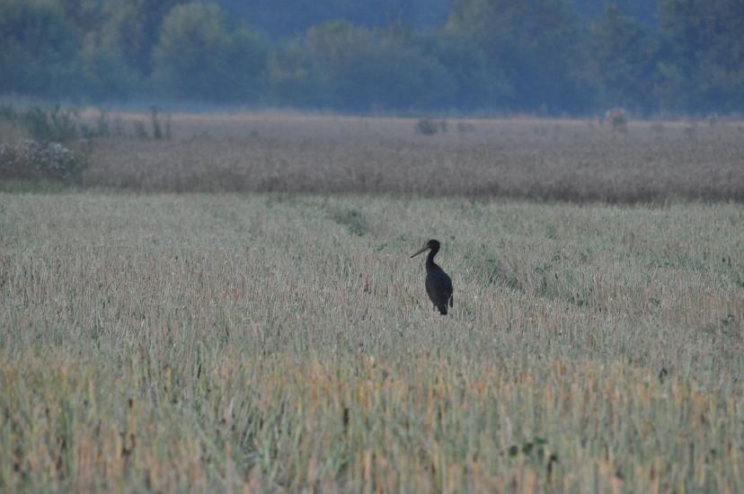 2010_07_31_160_Urlaub